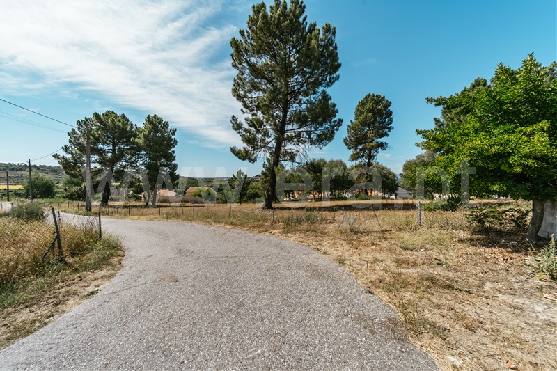 Terreno  Belmonte, Colmeal da Torre - 1426658 - 13