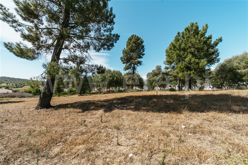 Terreno  Belmonte, Colmeal da Torre - 1426658 - 14