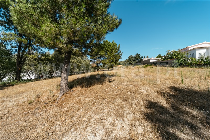 Terreno  Belmonte, Colmeal da Torre - 1426658 - 15