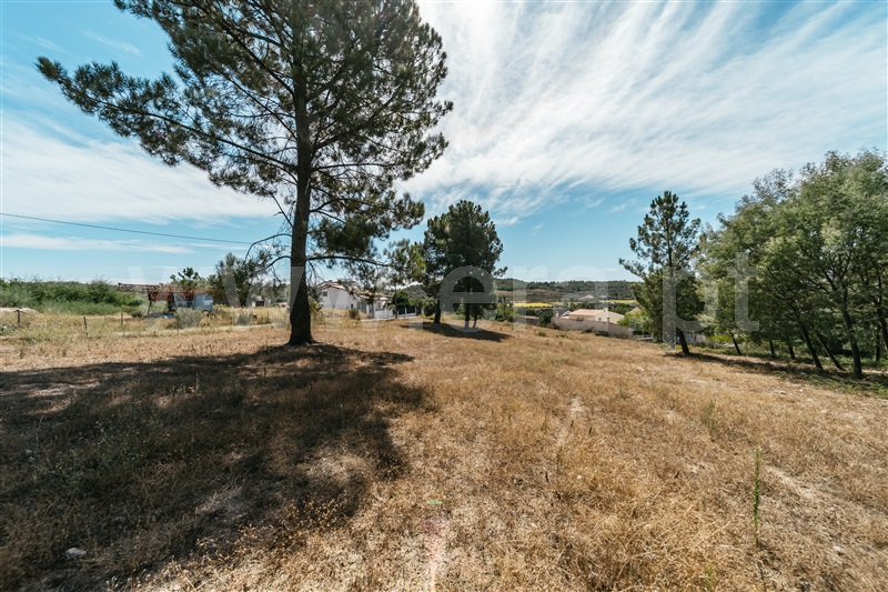 Terreno  Belmonte, Colmeal da Torre - 1426658 - 16