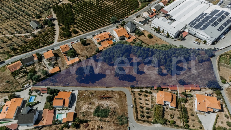 Terreno Urbano / Belmonte, Colmeal da Torre