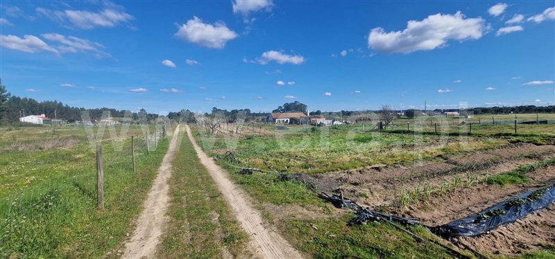 Terreno Urbano / Benavente, Benavente