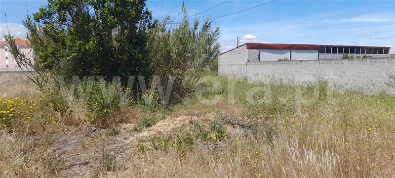 Terreno  Benavente, Samora Correia - 1408414 - 1