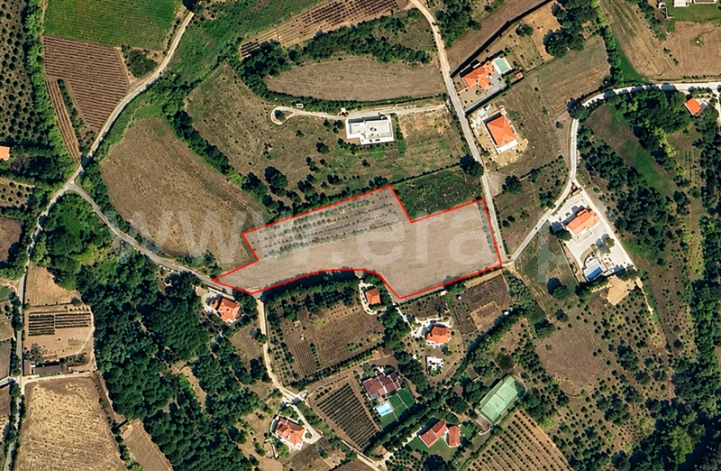 Terreno Urbano / Bombarral, Carvalhal