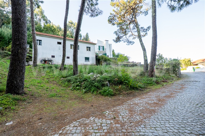 Terreno Urbano  Caminha, Moledo e Cristelo - 1505702 - 3