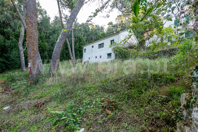 Terreno Urbano  Caminha, Moledo e Cristelo - 1505702 - 6
