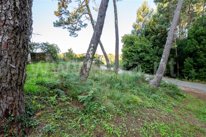 Terreno Urbano  Caminha, Moledo e Cristelo - 1505702 - 8