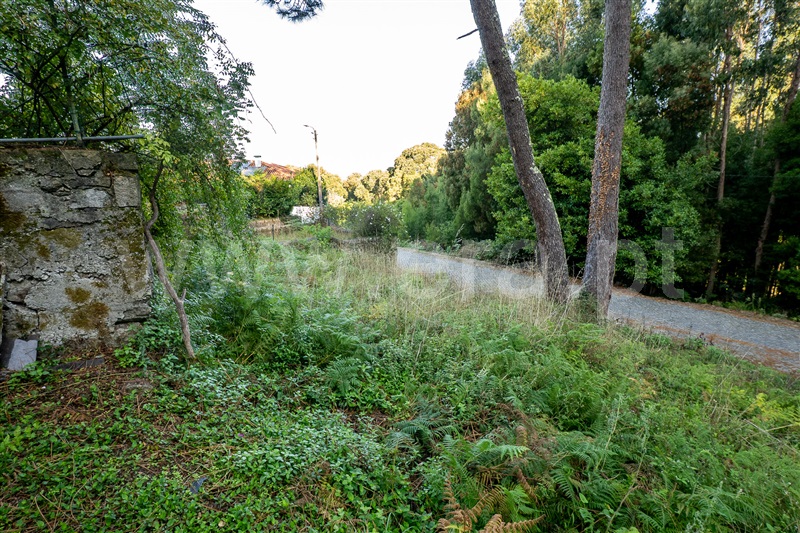 Terreno Urbano  Caminha, Moledo e Cristelo - 1505702 - 9
