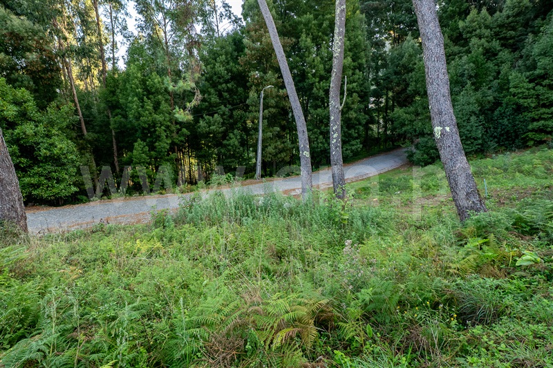 Terreno Urbano  Caminha, Moledo e Cristelo - 1505702 - 10