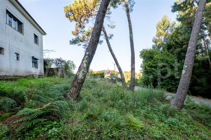 Terreno Urbano  Caminha, Moledo e Cristelo - 1505702 - 11