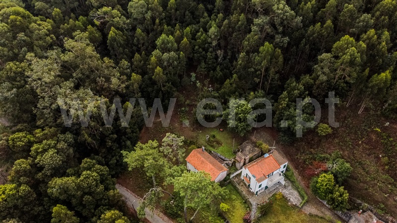 Terreno Urbano  Caminha, Moledo e Cristelo - 1505702 - 11