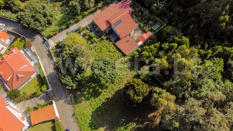 Terreno Urbano  Caminha, Moledo e Cristelo - 1506607 - 8