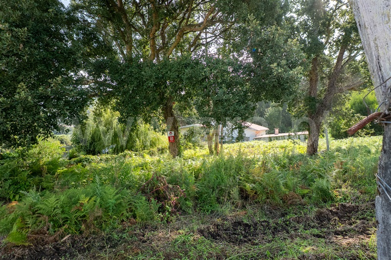 Terreno Urbano  Caminha, Moledo e Cristelo - 1506607 - 15