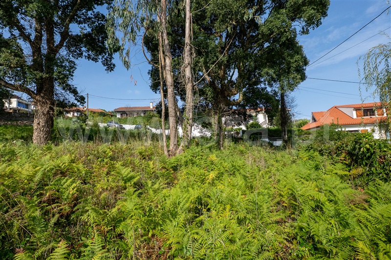 Terreno Urbano  Caminha, Moledo e Cristelo - 1506607 - 17