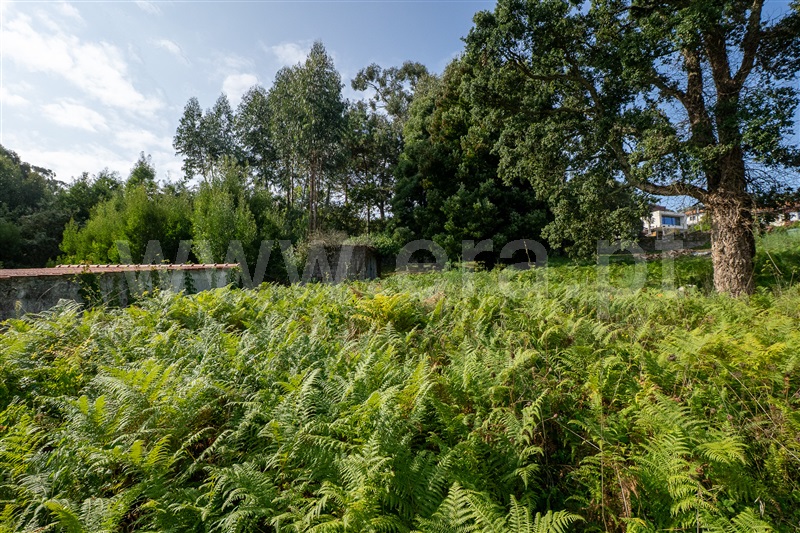 Terreno Urbano  Caminha, Moledo e Cristelo - 1506607 - 18