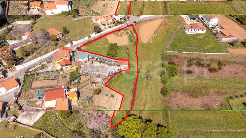 Terreno Urbano  com Aprovado Caminha, Seixas - 1318063 - 5