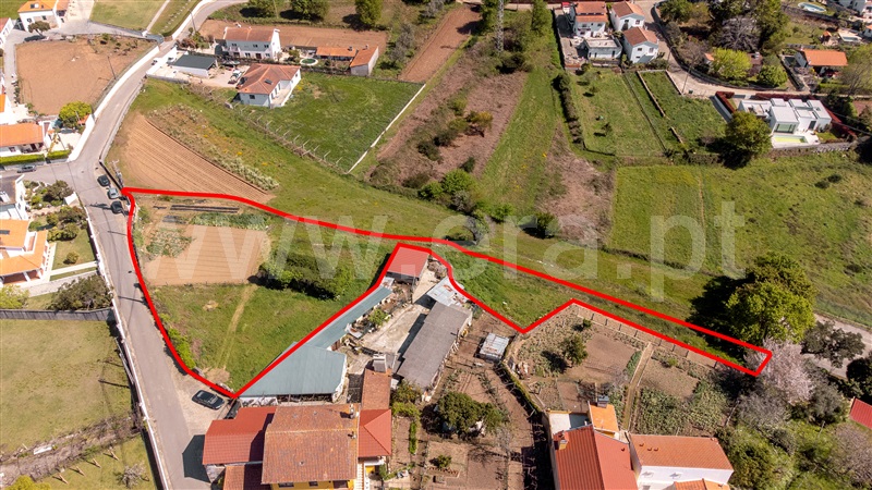 Terreno Urbano  com Aprovado Caminha, Seixas - 1318063 - 8