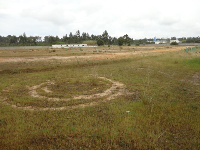 Terreno Urbano / Cantanhede, Tocha