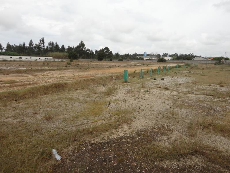 Terreno Urbano  Cantanhede, Berlengas - 639733 - 4