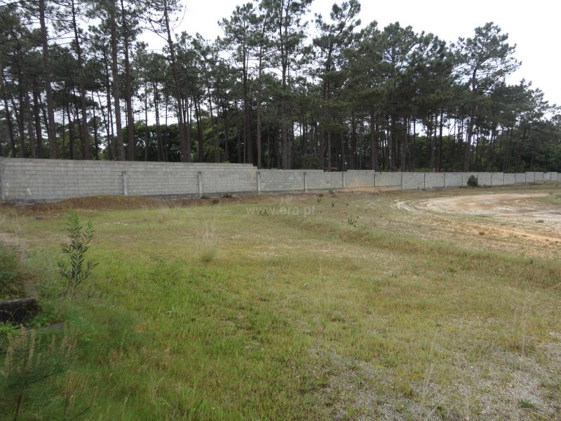 Terreno Urbano  Cantanhede, Berlengas - 639733 - 6