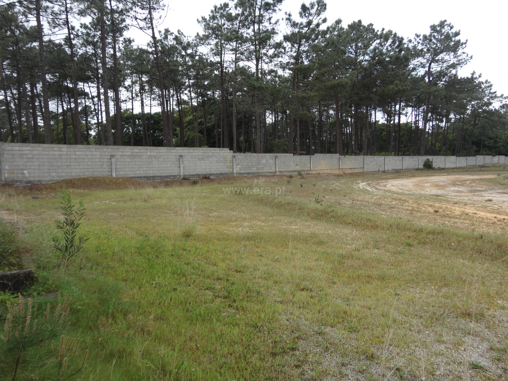 Land for sale in Cantanhede, Portugal — €550,000