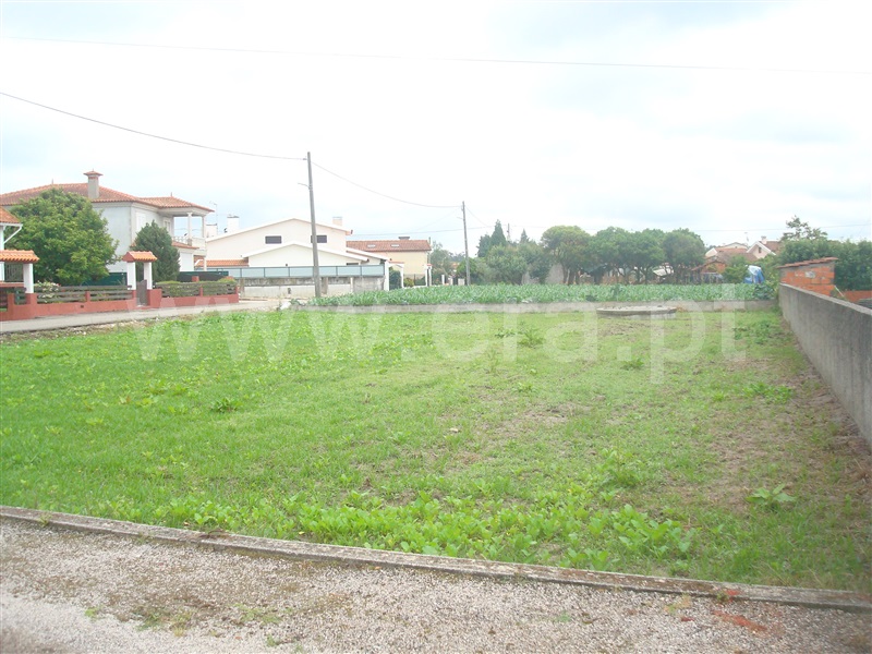 Terreno Urbano / Cantanhede, Vilamar