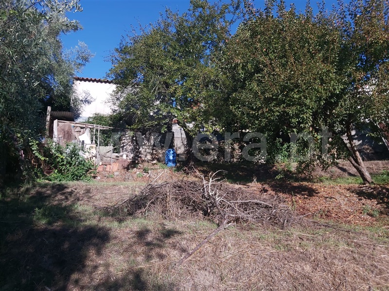 Terreno Urbano  Carregal do Sal, Currelos, Papízios e Sobral - 1512558 - 3