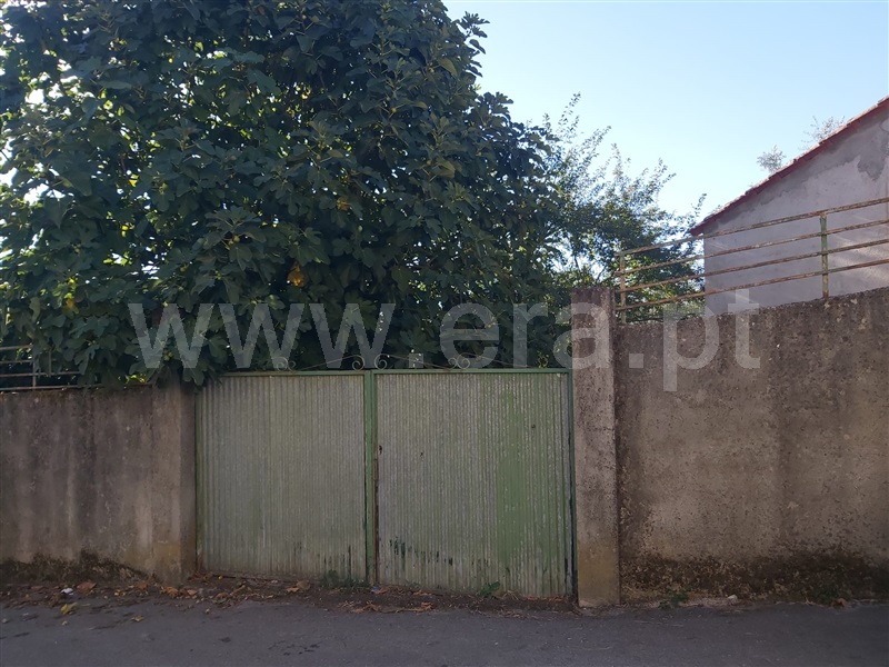 Terreno Urbano  Carregal do Sal, Currelos, Papízios e Sobral - 1512558 - 4