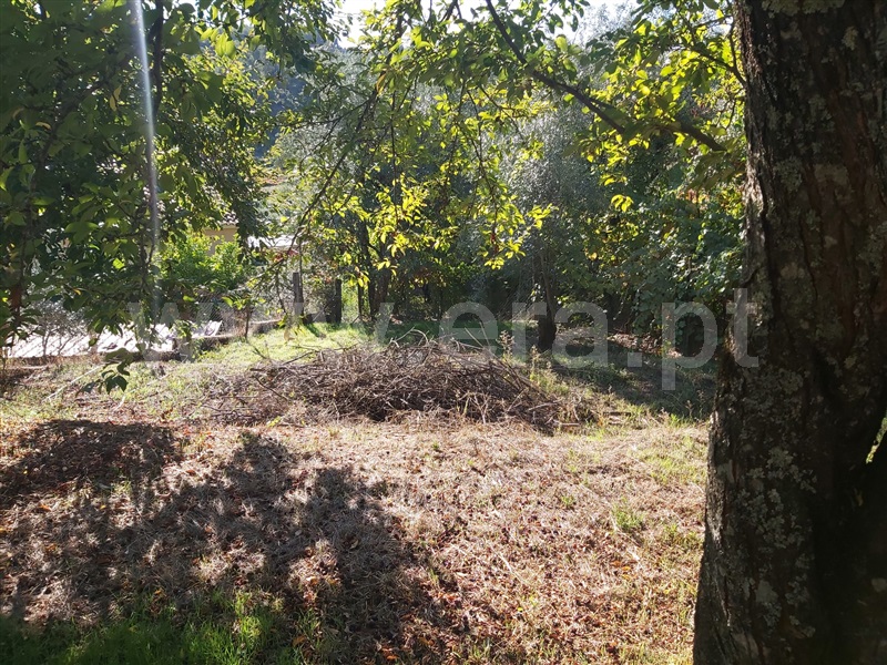 Terreno Urbano  Carregal do Sal, Currelos, Papízios e Sobral - 1512558 - 5