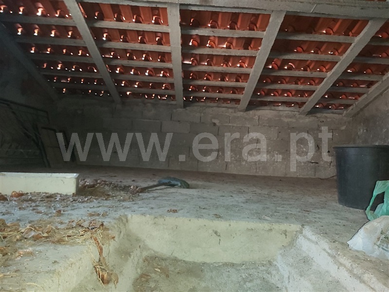 Terreno Urbano  Carregal do Sal, Currelos, Papízios e Sobral - 1512558 - 10
