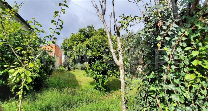 Terreno Urbano / Carregal do Sal, Currelos, Papízios e Sobral