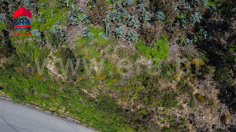Terreno Urbano  Castelo de Paiva, Castelo de Paiva - 1404473 - 8