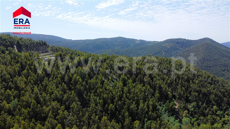 Terreno Urbano  Castelo de Paiva, Castelo de Paiva - 1404473 - 10