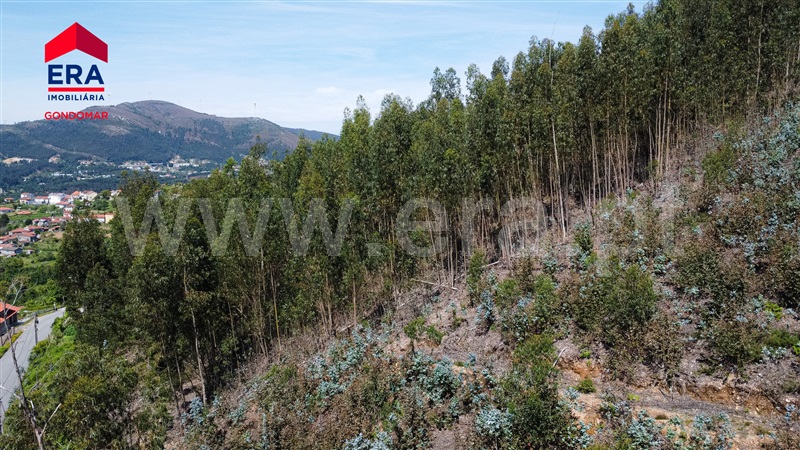 Terreno Urbano  Castelo de Paiva, Castelo de Paiva - 1404473 - 12