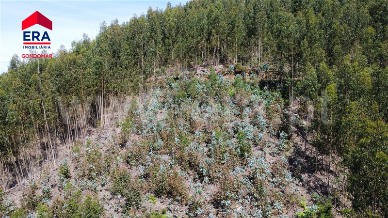 Terreno Urbano  Castelo de Paiva, Castelo de Paiva - 1404473 - 13