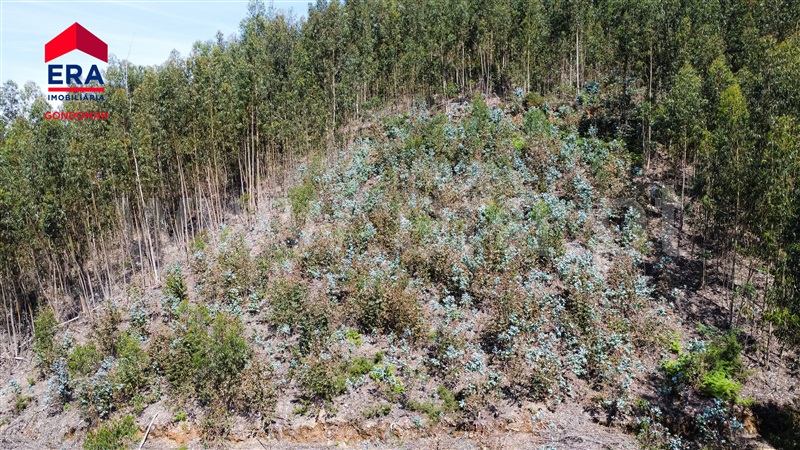 Terreno Urbano  Castelo de Paiva, Castelo de Paiva - 1404473 - 14