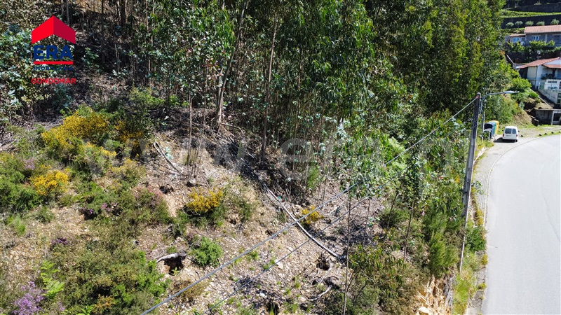 Terreno Urbano  Castelo de Paiva, Castelo de Paiva - 1404473 - 17