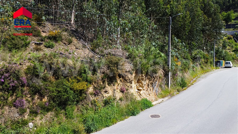 Terreno Urbano  Castelo de Paiva, Castelo de Paiva - 1404473 - 19