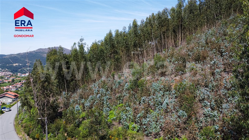 Terreno Urbano  Castelo de Paiva, Castelo de Paiva - 1404473 - 20