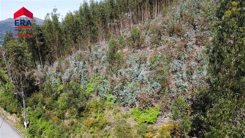 Terreno Urbano  Castelo de Paiva, Castelo de Paiva - 1404473 - 21