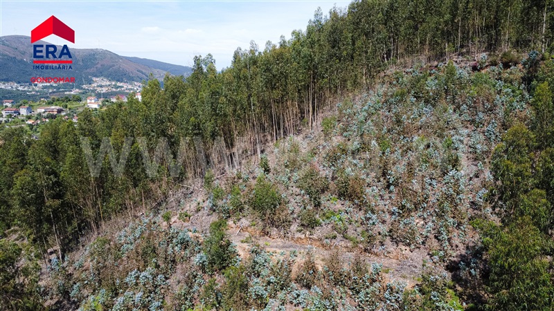 Terreno Urbano  Castelo de Paiva, Castelo de Paiva - 1404473 - 22