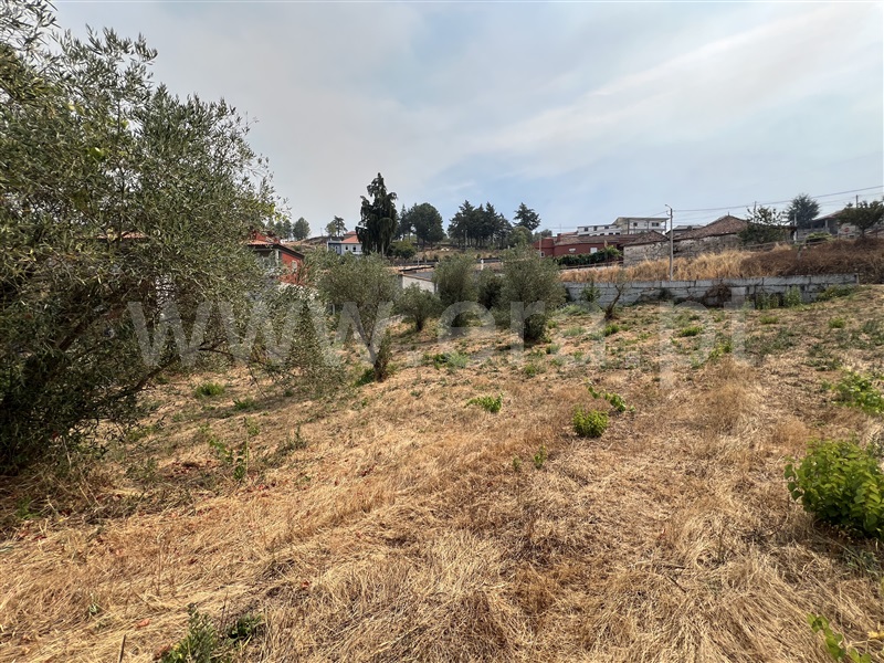 Terreno Urbano  Chaves, Oura - 1501465 - 5
