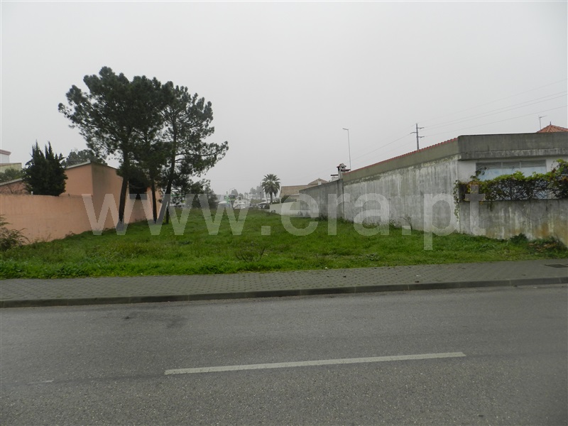 Terreno Urbano / Entroncamento, Nossa Senhora de Fátima