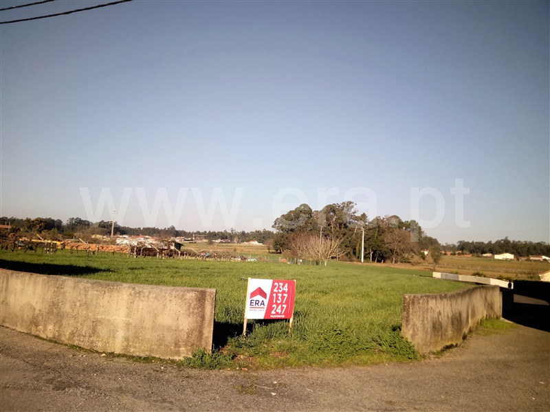 Terreno Urbano / Estarreja, Santiais