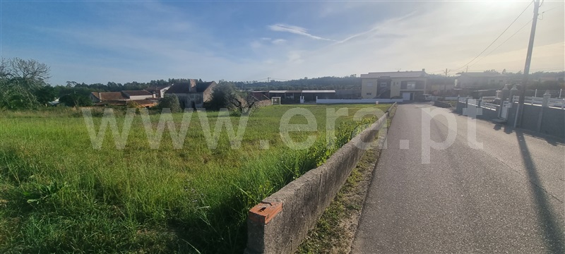 Terreno Misto  Figueira da Foz, Esperança - 1360258 - 6
