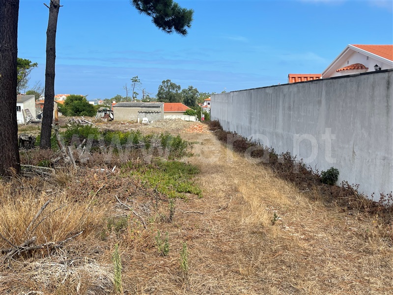 Terreno Urbano  Figueira da Foz, Murtinheira - 1264848 - 3