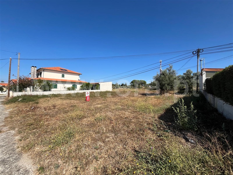 Terreno Urbano  Gouveia, Vila Nova de Tazem - 1433646 - 3