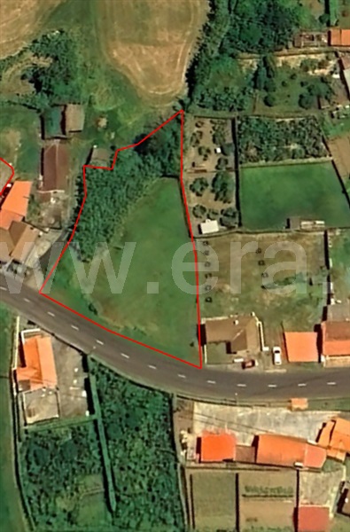 Terreno Urbano / Horta, Salão