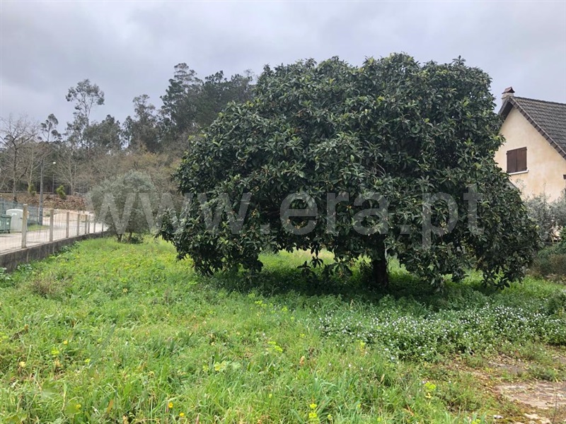 Terreno Urbano  Leiria, Santa Catarina da Serra e Chainça - 1312105 - 3
