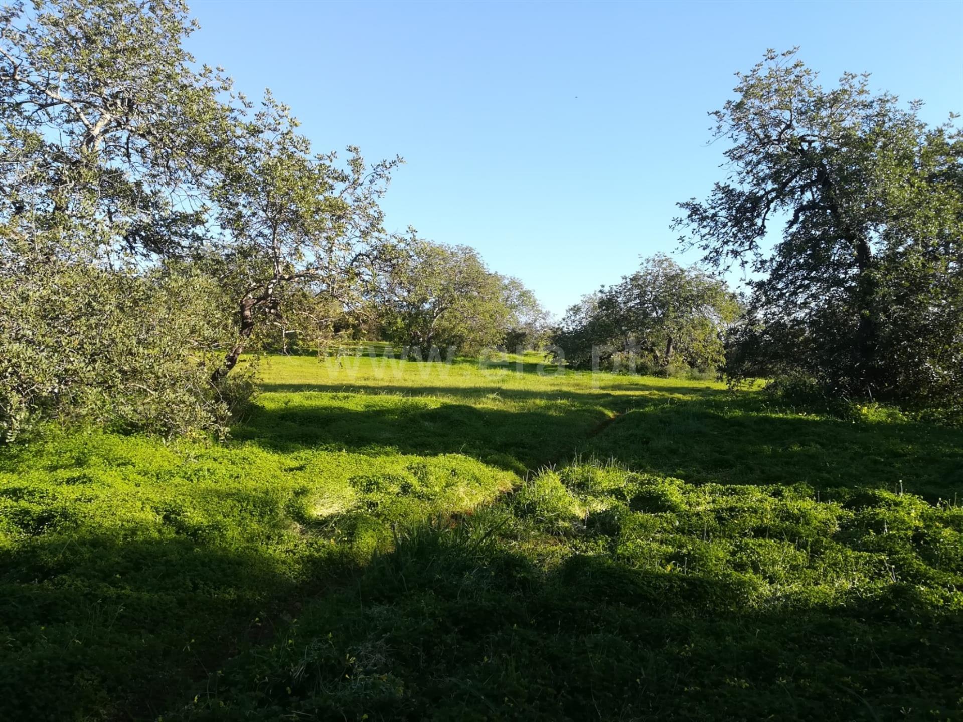 Land for sale in Loulé, Portugal — €1,500,000